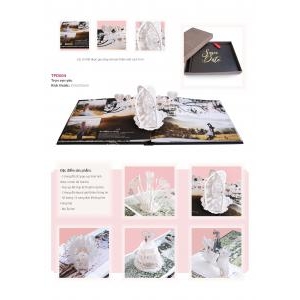 Photobook Wedding Pop-up Tình Yêu Trọn Vẹn