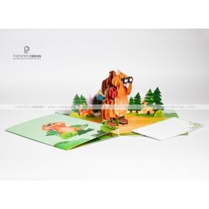 Popup Card - Father's Day Adventure